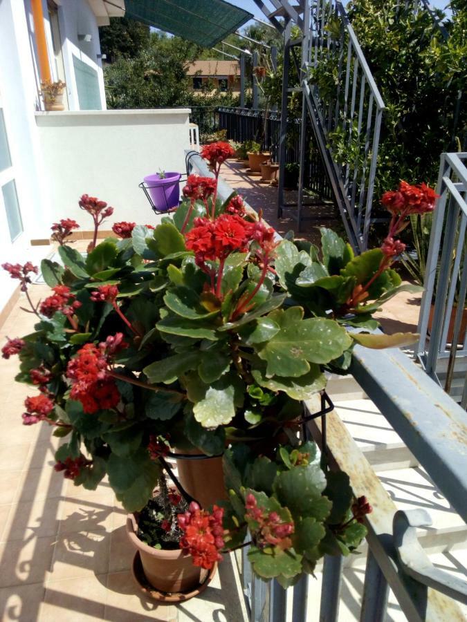 טרמה ויליאטורה Casa Vacanze Terme מראה חיצוני תמונה