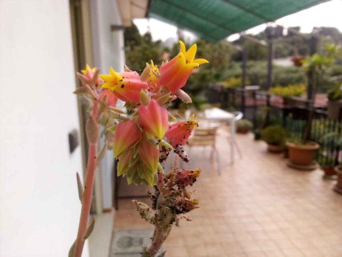 טרמה ויליאטורה Casa Vacanze Terme מראה חיצוני תמונה